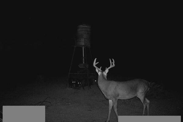 Foto de rancho en carretera progreso , progreso, progreso, coahuila de zaragoza, 15589328 foto 05 Foto de rancho en venta en carretera progreso , progreso, progreso, coahuila de zaragoza, 15589328 No. 05