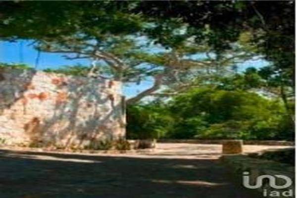 Foto de terreno habitacional en carretera real diamante , real diamante, acapulco de juárez, guerrero, 0 foto 03 Foto de terreno habitacional en venta en carretera real diamante , real diamante, acapulco de juárez, guerrero, 0 No. 03