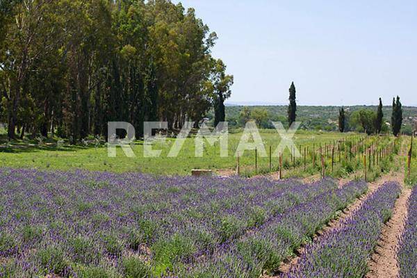 Foto de terreno comercial en carretera san miguel de allende esquina dolores , arcos de san miguel, san miguel de allende, guanajuato, 30527185 foto 01 Foto de terreno comercial en venta en carretera san miguel de allende esquina dolores , arcos de san miguel, san miguel de allende, guanajuato, 30527185 No. 01