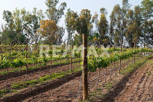 Foto de terreno comercial en carretera san miguel de allende esquina dolores , arcos de san miguel, san miguel de allende, guanajuato, 30527185 foto 04 Foto de terreno comercial en venta en carretera san miguel de allende esquina dolores , arcos de san miguel, san miguel de allende, guanajuato, 30527185 No. 04