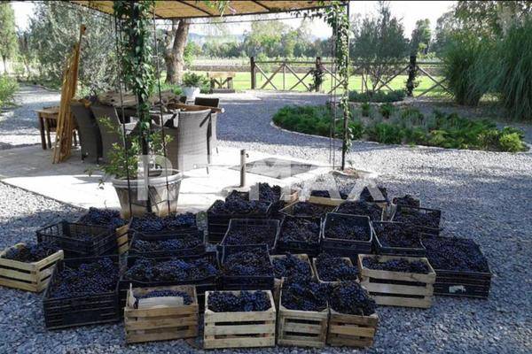 Foto de terreno comercial en carretera san miguel de allende esquina dolores , arcos de san miguel, san miguel de allende, guanajuato, 30527185 foto 05 Foto de terreno comercial en venta en carretera san miguel de allende esquina dolores , arcos de san miguel, san miguel de allende, guanajuato, 30527185 No. 05