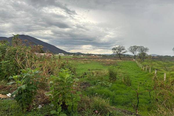 Foto de terreno industrial en carretera tala - santa cruz de las flores , san isidro mazatepec, tala, jalisco, 0 foto 02 Foto de terreno industrial en venta en carretera tala - santa cruz de las flores , san isidro mazatepec, tala, jalisco, 0 No. 02