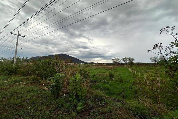 Foto de terreno industrial en carretera tala - santa cruz de las flores , san isidro mazatepec, tala, jalisco, 0 foto 03 Foto de terreno industrial en venta en carretera tala - santa cruz de las flores , san isidro mazatepec, tala, jalisco, 0 No. 03