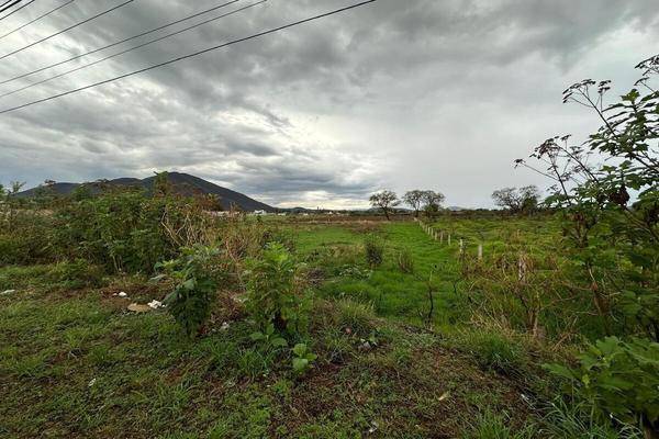 Foto de terreno industrial en carretera tala - santa cruz de las flores , san isidro mazatepec, tala, jalisco, 0 foto 05 Foto de terreno industrial en venta en carretera tala - santa cruz de las flores , san isidro mazatepec, tala, jalisco, 0 No. 05