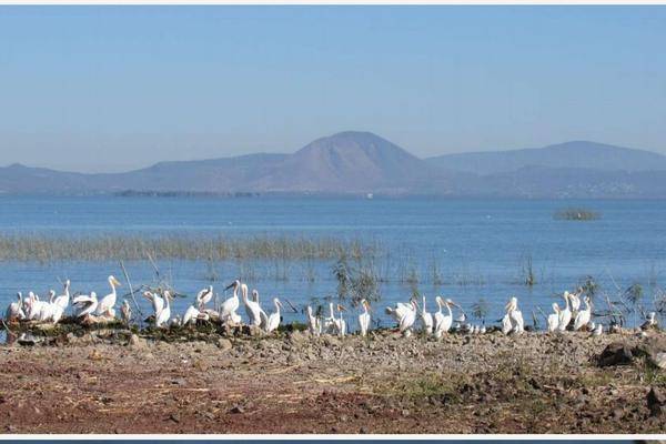 Foto de terreno habitacional en carretera tuxcueca , san luis soyatlan, tuxcueca, jalisco, 19979711 foto 01 Foto de terreno habitacional en venta en carretera tuxcueca , san luis soyatlan, tuxcueca, jalisco, 19979711 No. 01