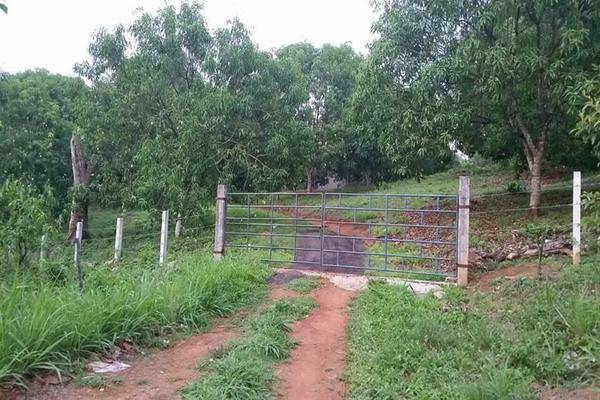Foto de terreno habitacional en carreterera huixtla - tapachula , belisario domínguez, huehuetán, chiapas, 0 foto 02 Foto de terreno habitacional en venta en carreterera huixtla - tapachula , belisario domínguez, huehuetán, chiapas, 0 No. 02