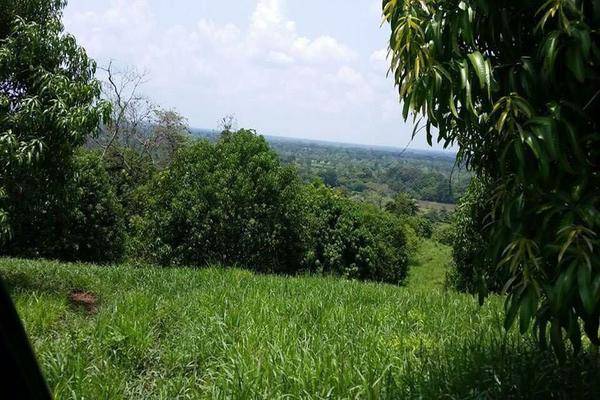 Foto de terreno habitacional en carreterera huixtla - tapachula , belisario domínguez, huehuetán, chiapas, 0 foto 03 Foto de terreno habitacional en venta en carreterera huixtla - tapachula , belisario domínguez, huehuetán, chiapas, 0 No. 03