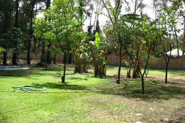 Foto de casa en casuarina 2, huertas productivas de jalisco, tlajomulco de zúñiga, jalisco, 1995626 foto 05 Foto de casa en venta en casuarina 2, huertas productivas de jalisco, tlajomulco de zúñiga, jalisco, 1995626 No. 05