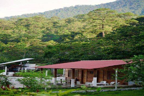 Foto de rancho en centro ecoturístico finca arroyo negro , la candelaria nueva esperanza, la concordia, chiapas, 26786132 foto 03 Foto de rancho en venta en centro ecoturístico finca arroyo negro , la candelaria nueva esperanza, la concordia, chiapas, 26786132 No. 03