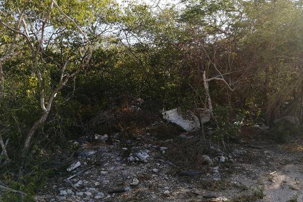 Foto de terreno habitacional en , centro hunucmá, hunucmá, yucatán, 30478129 foto 04 Foto de terreno habitacional en venta en , centro hunucmá, hunucmá, yucatán, 30478129 No. 04