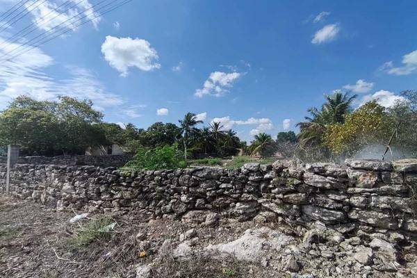 Foto de terreno habitacional en , centro hunucmá, hunucmá, yucatán, 0 foto 04 Foto de terreno habitacional en venta en , centro hunucmá, hunucmá, yucatán, 0 No. 04