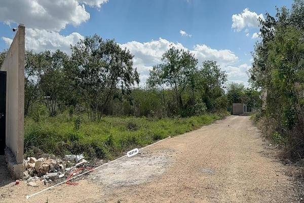 Foto de terreno habitacional en cerca de periferico , chichi suárez, mérida, yucatán, 0 foto 03 Foto de terreno habitacional en venta en cerca de periferico , chichi suárez, mérida, yucatán, 0 No. 03