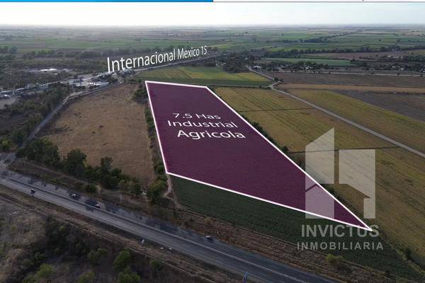 Foto de terreno habitacional en , cerro angostura, angostura, sinaloa, 30488175 foto 02 Foto de terreno habitacional en venta en , cerro angostura, angostura, sinaloa, 30488175 No. 02