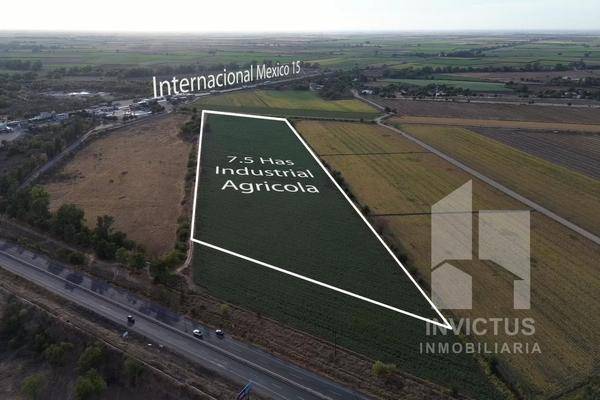 Foto de terreno habitacional en , cerro angostura, angostura, sinaloa, 30488175 foto 03 Foto de terreno habitacional en venta en , cerro angostura, angostura, sinaloa, 30488175 No. 03