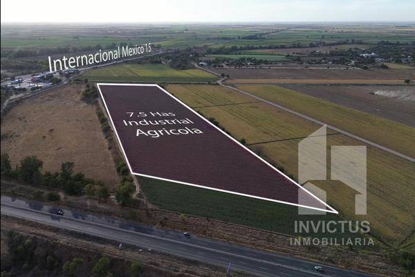 Foto de terreno habitacional en , cerro angostura, angostura, sinaloa, 30488175 foto 04 Foto de terreno habitacional en venta en , cerro angostura, angostura, sinaloa, 30488175 No. 04