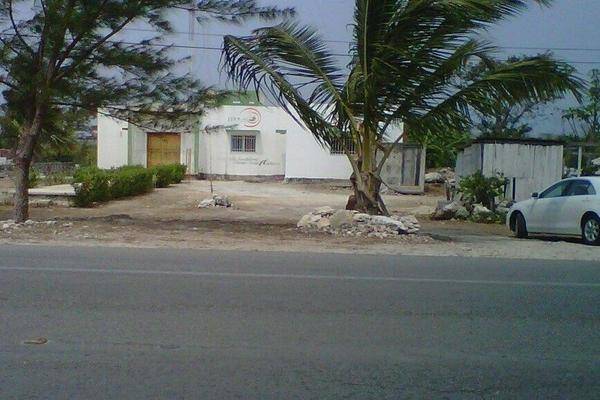 Foto de terreno habitacional en , chetumal centro, othón p. blanco, quintana roo, 0 foto 02 Foto de terreno habitacional en venta en , chetumal centro, othón p. blanco, quintana roo, 0 No. 02