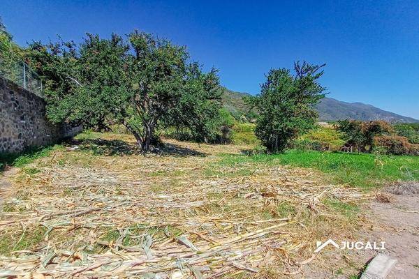 Foto de terreno habitacional en chula vista , chantepec, jocotepec, jalisco, 0 foto 03 Foto de terreno habitacional en venta en chula vista , chantepec, jocotepec, jalisco, 0 No. 03