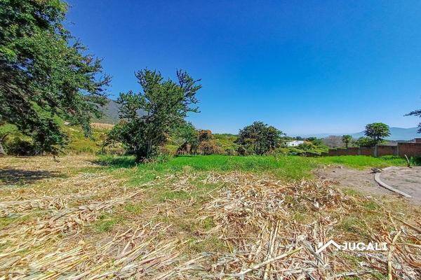 Foto de terreno habitacional en chula vista , chantepec, jocotepec, jalisco, 0 foto 04 Foto de terreno habitacional en venta en chula vista , chantepec, jocotepec, jalisco, 0 No. 04