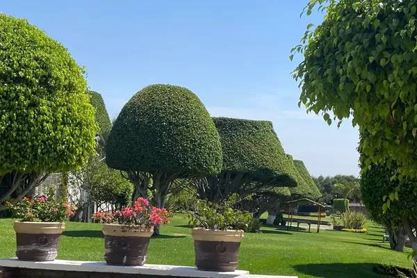 Foto de casa en circuito loma bonita xx, lomas de zompantle, cuernavaca, morelos, 0 foto 05 Foto de casa en venta en circuito loma bonita xx, lomas de zompantle, cuernavaca, morelos, 0 No. 05