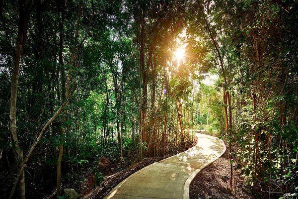 Foto de terreno habitacional en , ciudad mayakoba, solidaridad, quintana roo, 0 foto 03 Foto de terreno habitacional en venta en , ciudad mayakoba, solidaridad, quintana roo, 0 No. 03