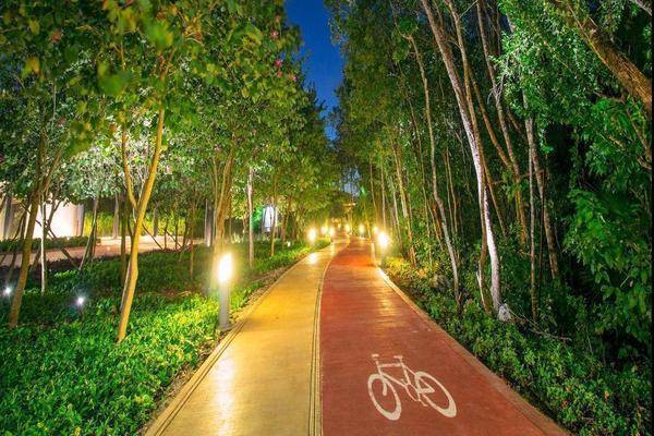 Foto de terreno habitacional en , ciudad mayakoba, solidaridad, quintana roo, 0 foto 04 Foto de terreno habitacional en venta en , ciudad mayakoba, solidaridad, quintana roo, 0 No. 04