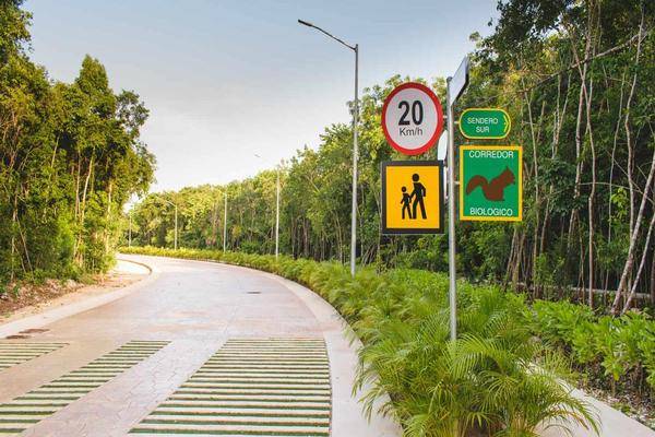 Foto de terreno habitacional en , ciudad mayakoba, solidaridad, quintana roo, 0 foto 05 Foto de terreno habitacional en venta en , ciudad mayakoba, solidaridad, quintana roo, 0 No. 05