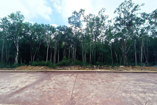 Foto de terreno habitacional en , ciudad mayakoba, solidaridad, quintana roo, 30999977 foto 02 Foto de terreno habitacional en venta en , ciudad mayakoba, solidaridad, quintana roo, 30999977 No. 02