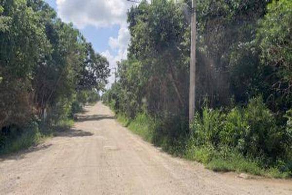 Foto de terreno habitacional en , colegios, benito juárez, quintana roo, 0 foto 03 Foto de terreno habitacional en venta en , colegios, benito juárez, quintana roo, 0 No. 03