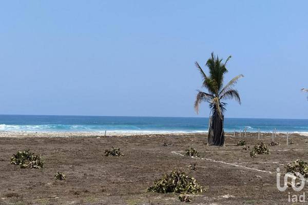 Foto de terreno habitacional en comunidad el médano 65, amado nervo, florencio villarreal, guerrero, 26543316 foto 01 Foto de terreno habitacional en venta en comunidad el médano 65, amado nervo, florencio villarreal, guerrero, 26543316 No. 01