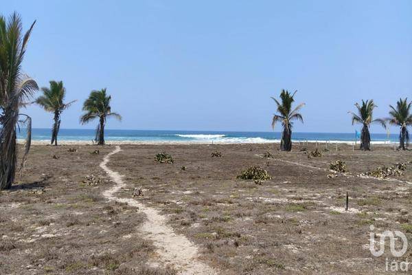 Foto de terreno habitacional en comunidad el médano 65, amado nervo, florencio villarreal, guerrero, 26543316 foto 02 Foto de terreno habitacional en venta en comunidad el médano 65, amado nervo, florencio villarreal, guerrero, 26543316 No. 02