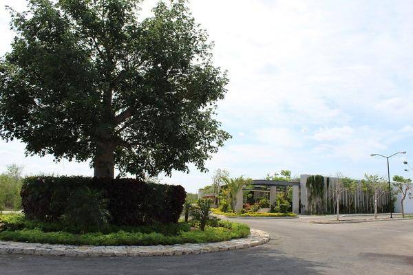Foto de terreno habitacional en conkal - yaxkukul , conkal, conkal, yucatán, 0 foto 05 Foto de terreno habitacional en venta en conkal - yaxkukul , conkal, conkal, yucatán, 0 No. 05