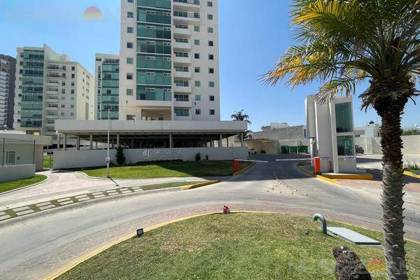 Foto de departamento en , cordillera, san luis potosí, san luis potosí, 0 foto 01 Foto de departamento en renta en , cordillera, san luis potosí, san luis potosí, 0 No. 01