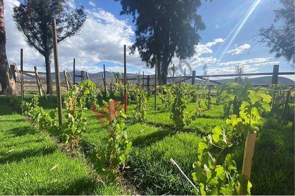 Foto de terreno habitacional en , corralejo de abajo, san miguel de allende, guanajuato, 0 foto 04 Foto de terreno habitacional en venta en , corralejo de abajo, san miguel de allende, guanajuato, 0 No. 04