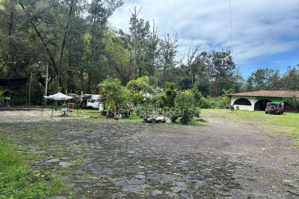 Foto de local en domicilio conocido , el arco, valle de bravo, méxico, 29017047 foto 03 Foto de local en renta en domicilio conocido , el arco, valle de bravo, méxico, 29017047 No. 03