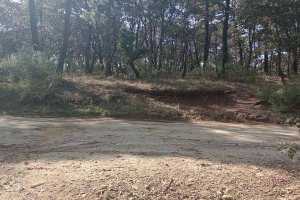 Foto de terreno habitacional en domicilio conocido , loma de trojes, villa del carbón, méxico, 27702231 foto 02 Foto de terreno habitacional en venta en domicilio conocido , loma de trojes, villa del carbón, méxico, 27702231 No. 02