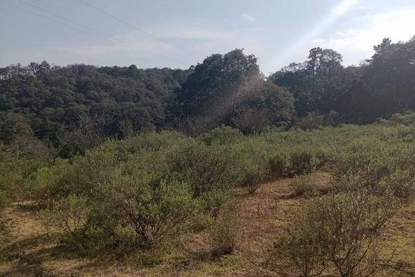 Foto de terreno habitacional en domicilio conocido , loma de trojes, villa del carbón, méxico, 27702231 foto 05 Foto de terreno habitacional en venta en domicilio conocido , loma de trojes, villa del carbón, méxico, 27702231 No. 05