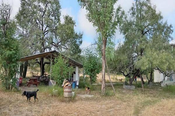 Foto de rancho en , dr. gonzalez, doctor gonzález, nuevo león, 28529527 foto 03 Foto de rancho en venta en , dr. gonzalez, doctor gonzález, nuevo león, 28529527 No. 03