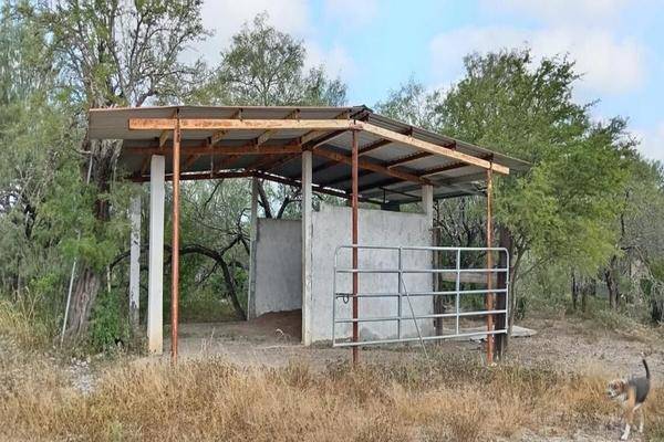 Foto de rancho en , dr. gonzalez, doctor gonzález, nuevo león, 28529527 foto 04 Foto de rancho en venta en , dr. gonzalez, doctor gonzález, nuevo león, 28529527 No. 04