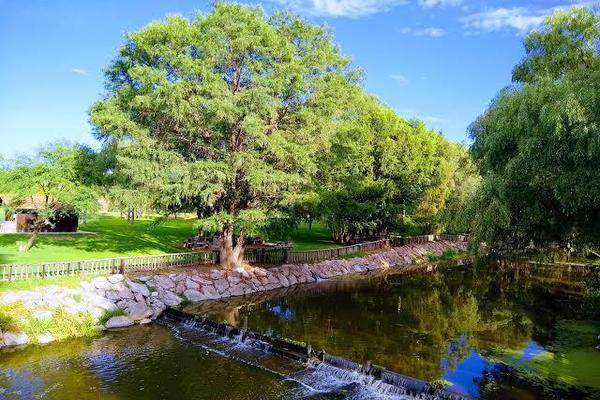 Foto de casa en eden los sabinos, campestre san joaquín 1111, parque industrial el vergel, aguascalientes, aguascalientes, 0 foto 02 Foto de casa en renta en eden los sabinos, campestre san joaquín 1111, parque industrial el vergel, aguascalientes, aguascalientes, 0 No. 02