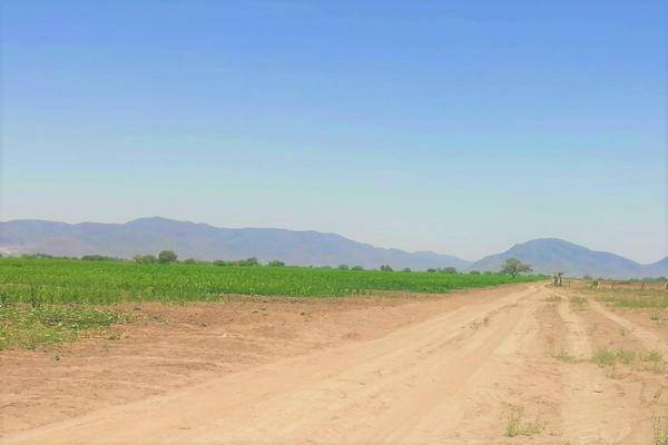 Foto de terreno comercial en ejido maravillas , maravillas, matamoros, coahuila de zaragoza, 0 foto 05 Foto de terreno comercial en venta en ejido maravillas , maravillas, matamoros, coahuila de zaragoza, 0 No. 05
