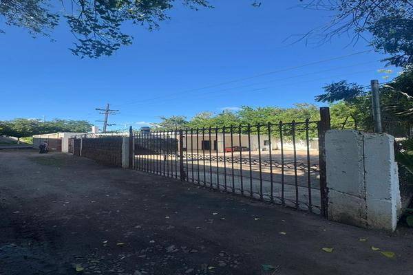 Foto de terreno habitacional en , el batallón, navolato, sinaloa, 30134734 foto 05 Foto de terreno habitacional en venta en , el batallón, navolato, sinaloa, 30134734 No. 05