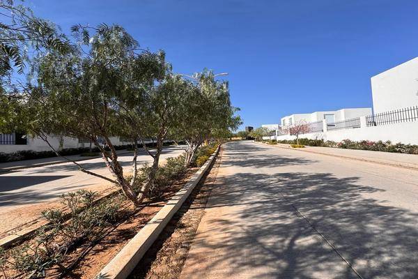 Foto de casa en , el chichimeco, jesús maría, aguascalientes, 0 foto 04 Foto de casa en renta en , el chichimeco, jesús maría, aguascalientes, 0 No. 04