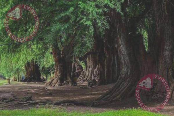 Foto de terreno habitacional en , el edén, aguascalientes, aguascalientes, 0 foto 04 Foto de terreno habitacional en venta en , el edén, aguascalientes, aguascalientes, 0 No. 04