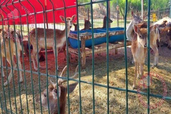 Foto de terreno habitacional en , el edén, aguascalientes, aguascalientes, 0 foto 05 Foto de terreno habitacional en venta en , el edén, aguascalientes, aguascalientes, 0 No. 05