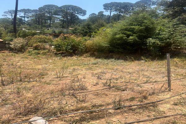Foto de terreno habitacional en , el fresno, valle de bravo, méxico, 28058757 foto 04 Foto de terreno habitacional en venta en , el fresno, valle de bravo, méxico, 28058757 No. 04
