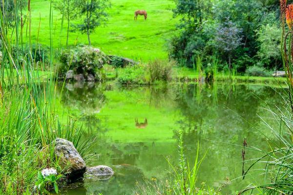Foto de rancho en el ojo de agua ranchería el ortigo , valle de bravo, valle de bravo, méxico, 6373676 foto 01 Foto de rancho en venta en el ojo de agua ranchería el ortigo , valle de bravo, valle de bravo, méxico, 6373676 No. 01