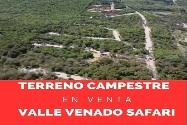 Foto de terreno habitacional en , el pastor, montemorelos, nuevo león, 27925186 foto 01 Foto de terreno habitacional en venta en , el pastor, montemorelos, nuevo león, 27925186 No. 01