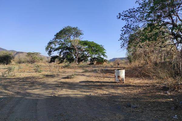 Foto de terreno habitacional en el platanar, tuxpan, jalisco , el platanar, tuxpan, jalisco, 0 foto 02 Foto de terreno habitacional en venta en el platanar, tuxpan, jalisco , el platanar, tuxpan, jalisco, 0 No. 02