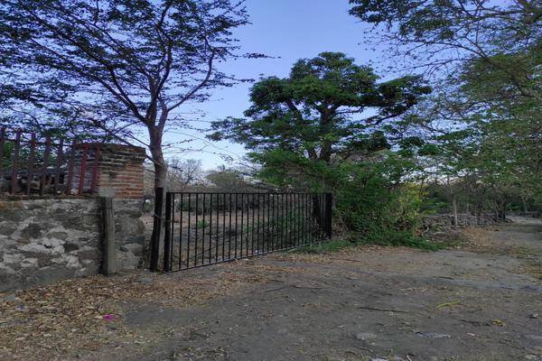 Foto de terreno habitacional en el platanar, tuxpan, jalisco , el platanar, tuxpan, jalisco, 0 foto 05 Foto de terreno habitacional en venta en el platanar, tuxpan, jalisco , el platanar, tuxpan, jalisco, 0 No. 05