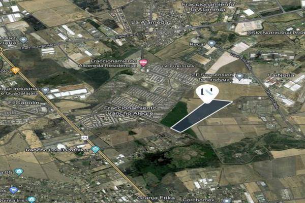 Foto de nave industrial en , el salto centro, el salto, jalisco, 29389193 foto 05 Foto de nave industrial en venta en , el salto centro, el salto, jalisco, 29389193 No. 05